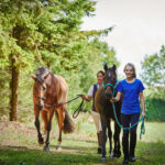 Horse Riding in Corfu – Memorable 1-2 Hour Adventure